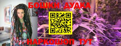 индика Гусиноозёрск