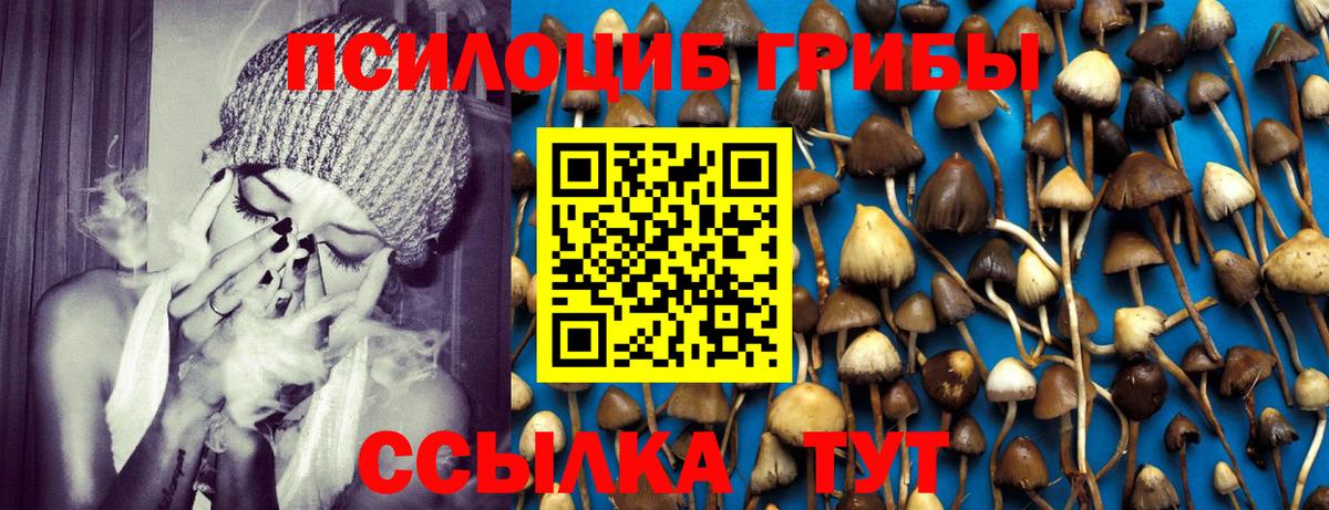 Галлюциногенные грибы Cubensis Люберцы